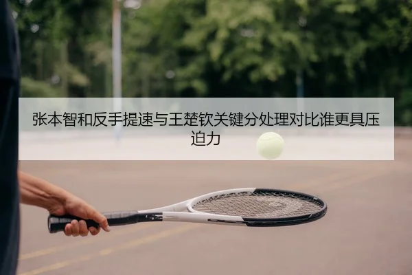 张本智和反手提速与王楚钦关键分处理对比谁更具压迫力